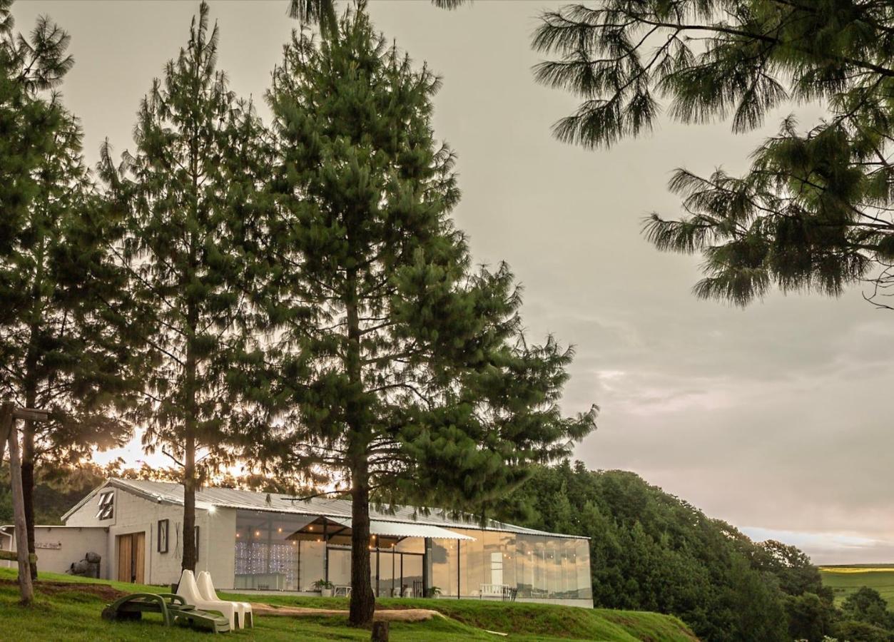 Dargle Forest Lodge Exterior foto