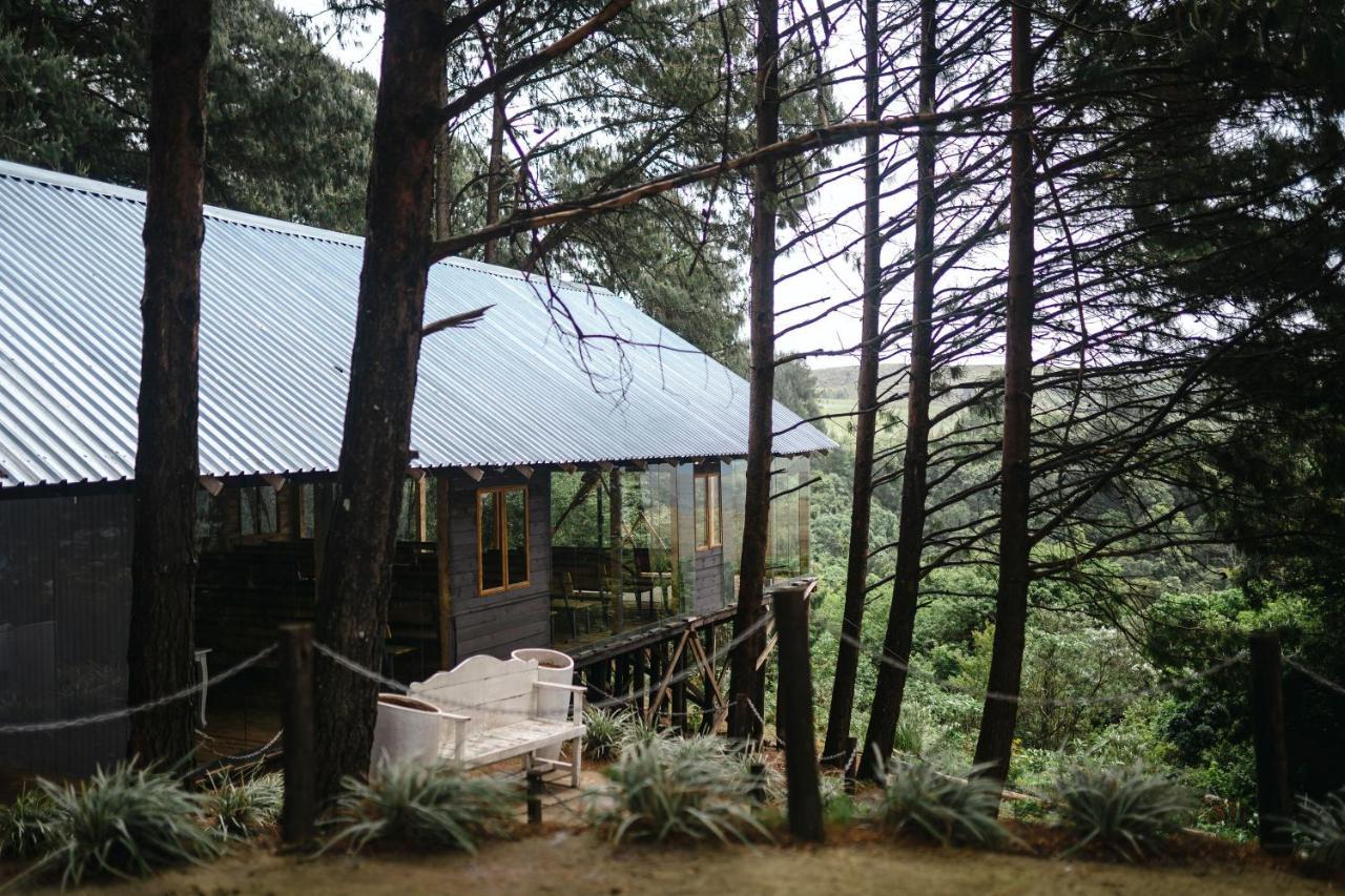 Dargle Forest Lodge Exterior foto